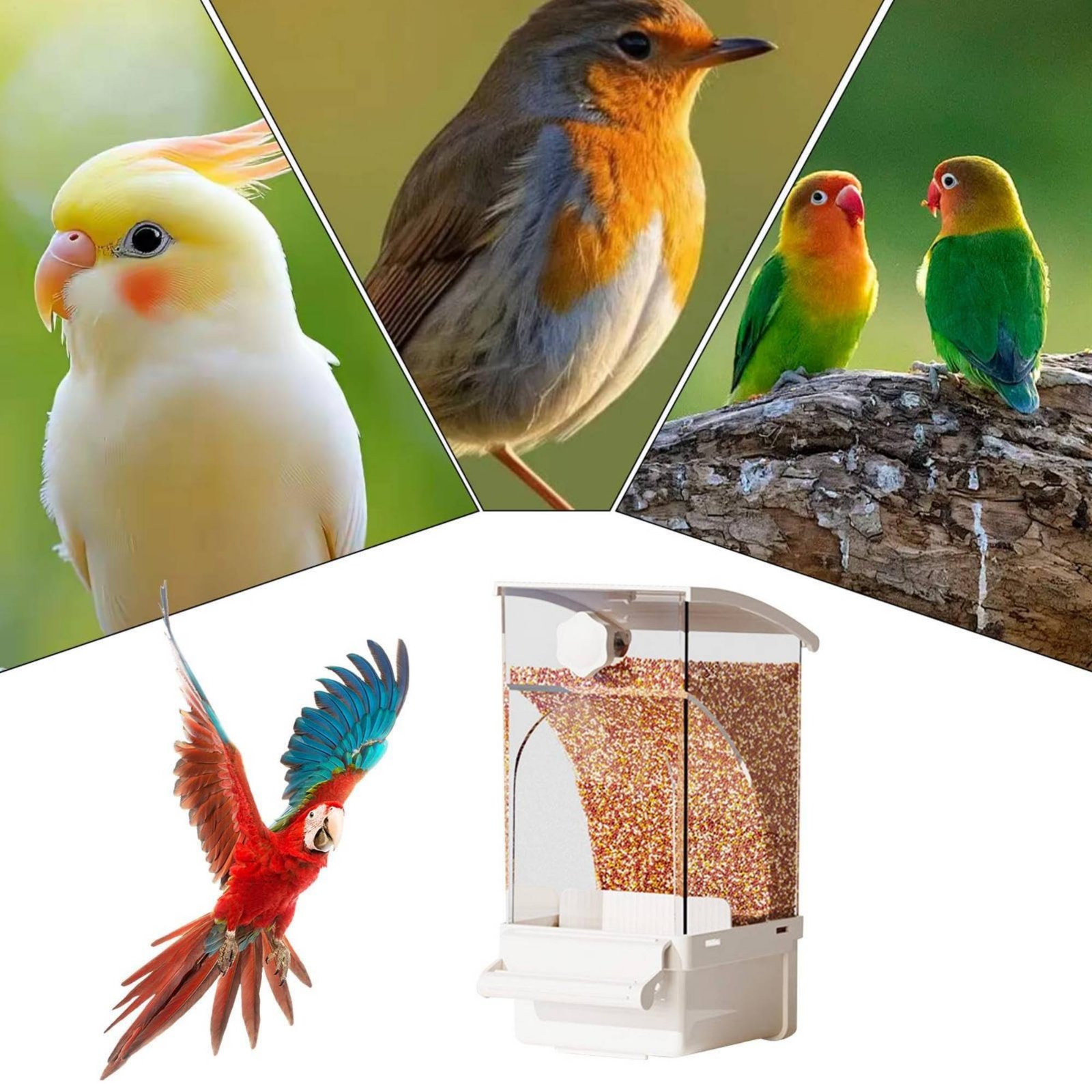 Pet Supplies Usa - Mangeoire automatique pour oiseaux, séparateur de