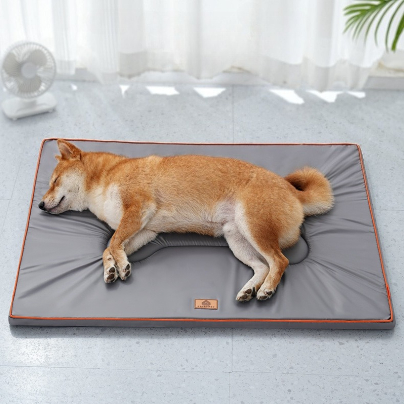 Coussin imperméable pour chien - Calming Dog Bed avis et prix