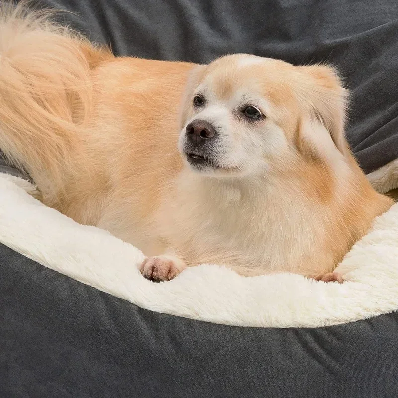 Coussin de couchage semi-fermé - Calming Dog Bed avis et prix