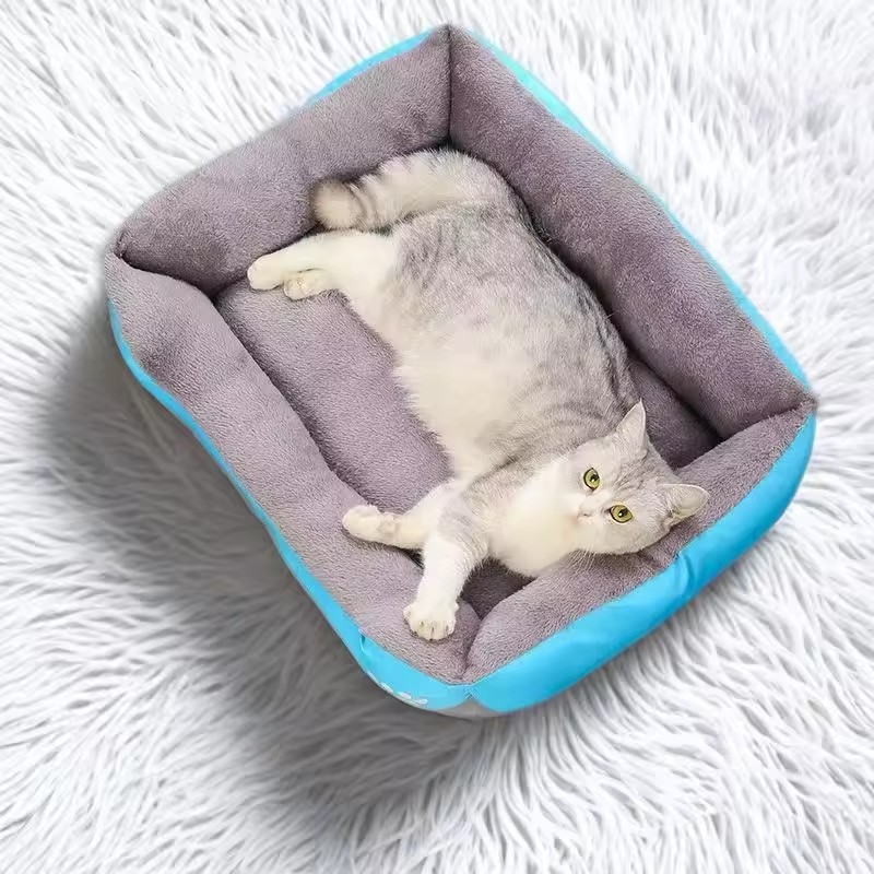 Lit de sommeil en peluche douc - Calming Dog Bed avis et prix