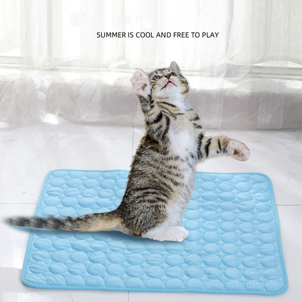 Tapis Rafraîchissant pour Anim - Calming Dog Bed avis et prix