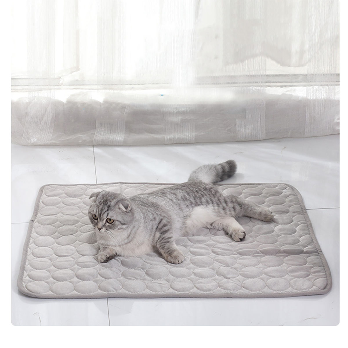Tapis Rafraîchissant pour Anim - Calming Dog Bed avis et prix
