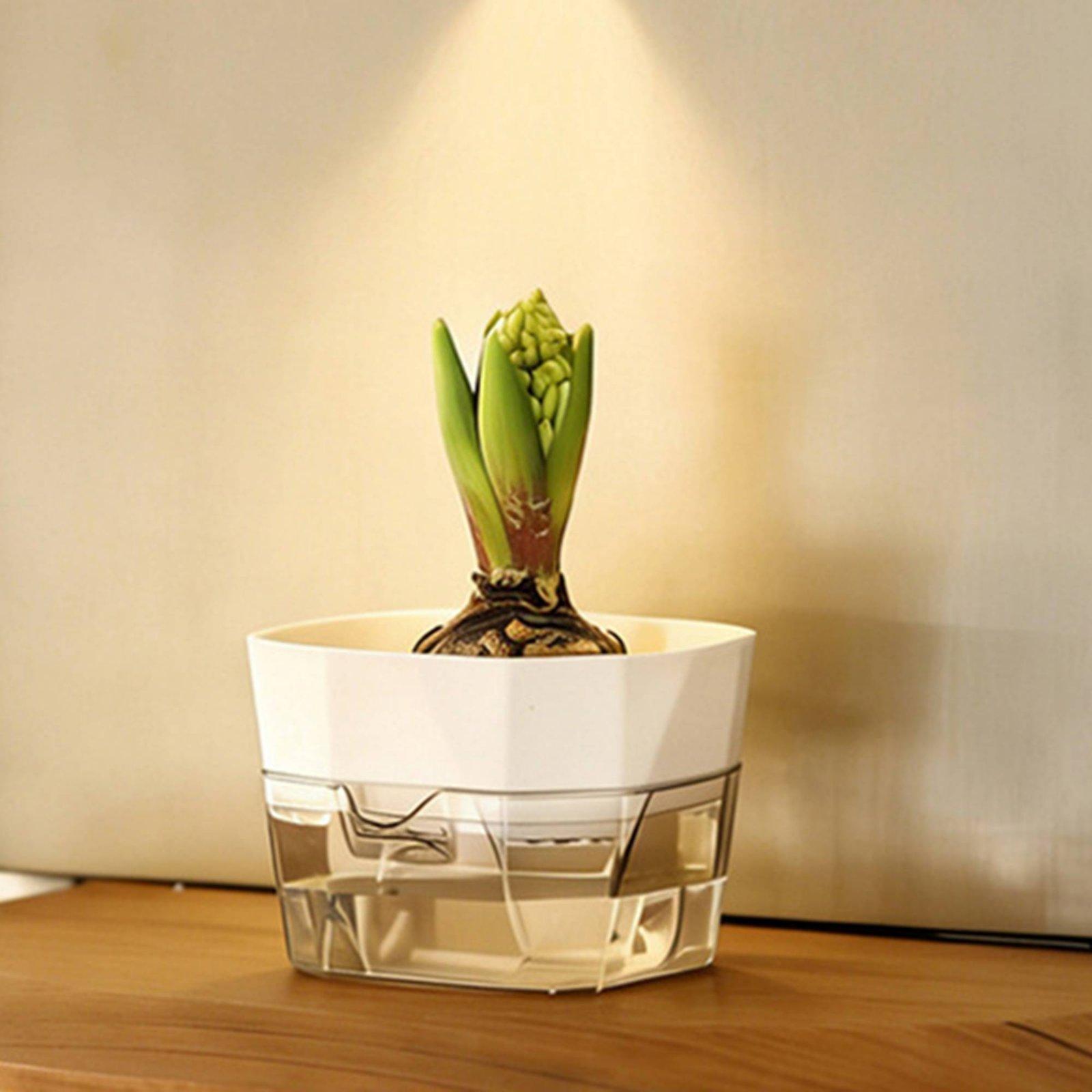 Vase hydroponique à deux nivea - Pet Supplies Usa avis et prix