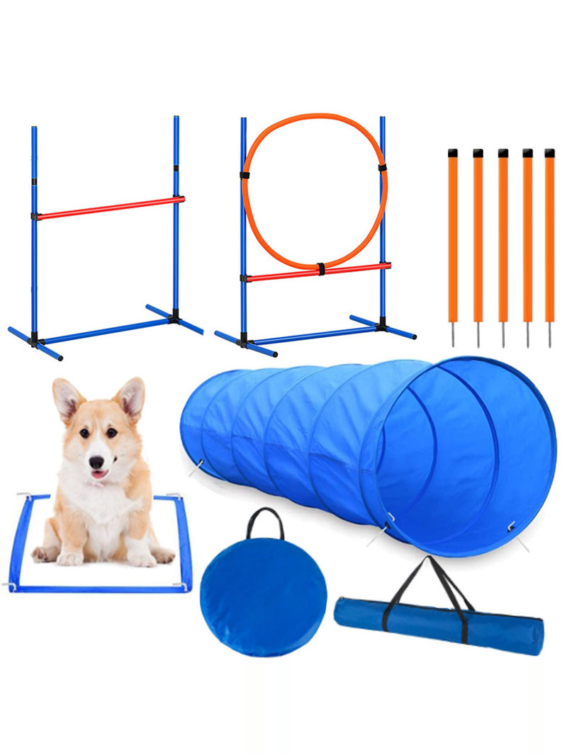 Accessoires de compétition pou - Pet Supplies Usa avis et prix