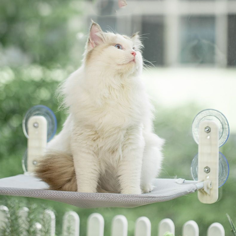 Hamac pour chat à ventouses su - Pet Supplies Usa avis et prix