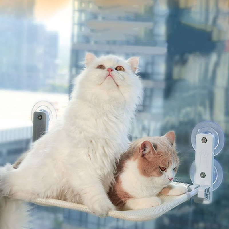 Hamac pour chat à ventouses su - Pet Supplies Usa avis et prix