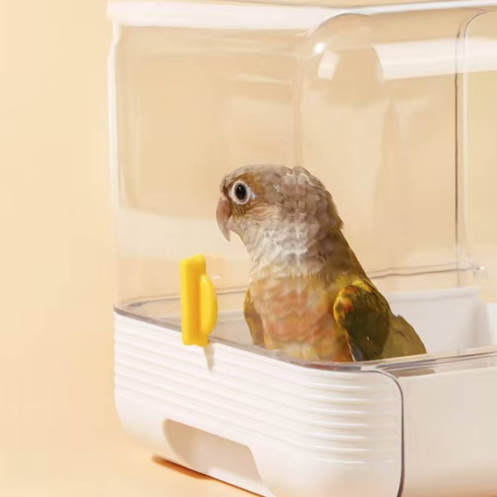 Baignoire pour perroquet multi - Pet Supplies Usa avis et prix
